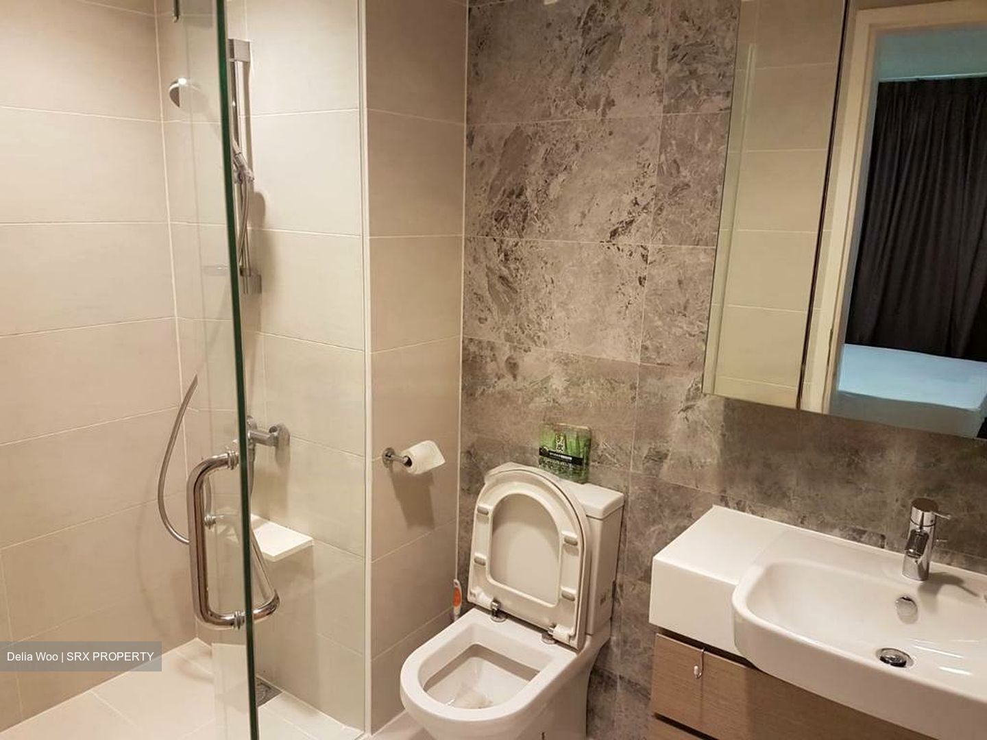 The Lakefront Residences (D22), Condominium #502581291